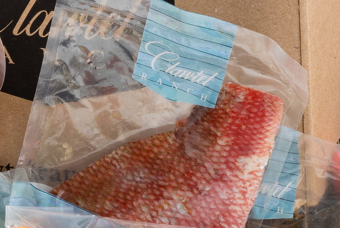 Clawtel Fish Box